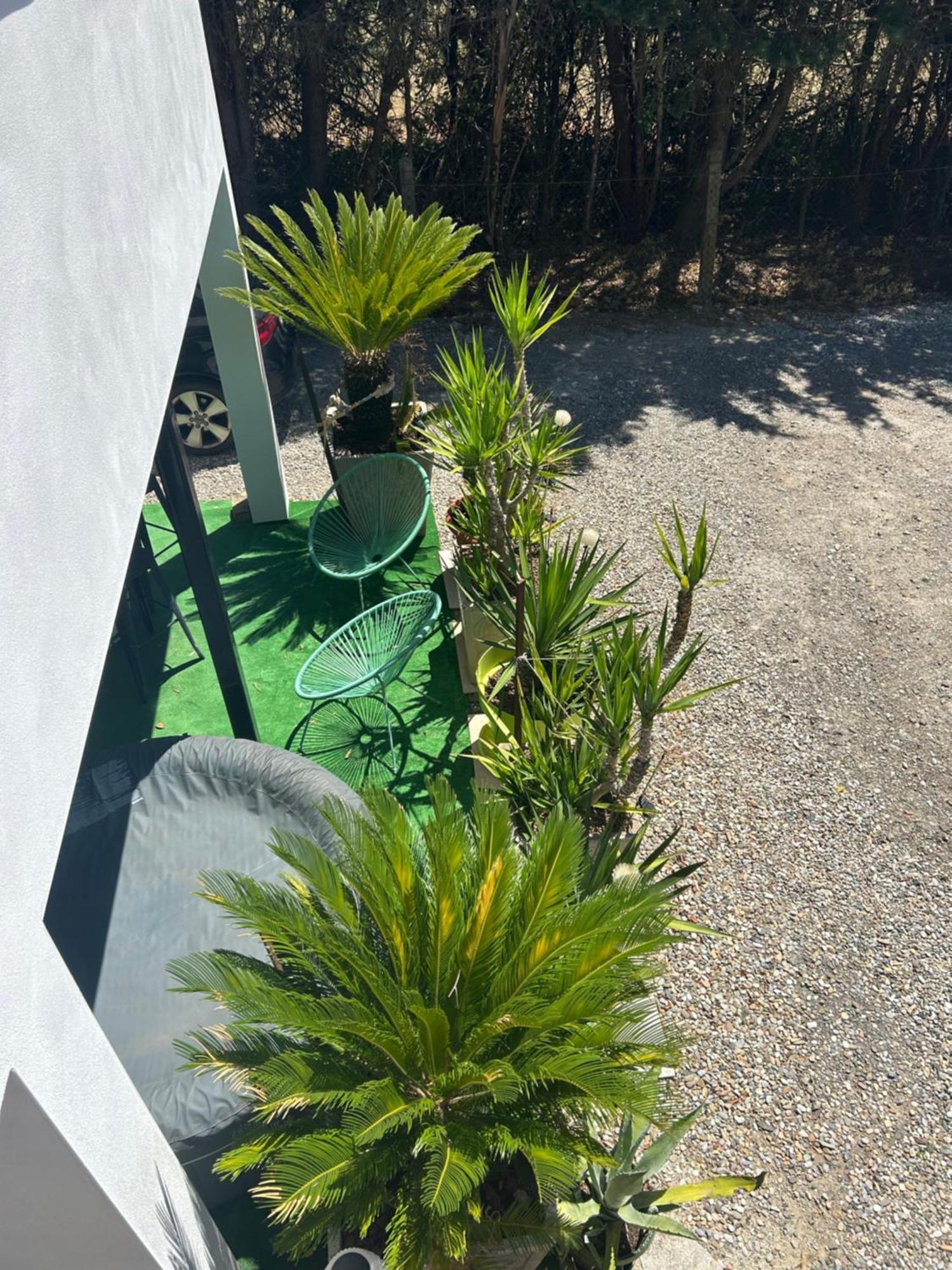 Appart-One Terrasse Jacuzzi Parking Carcassonne Zewnętrze zdjęcie